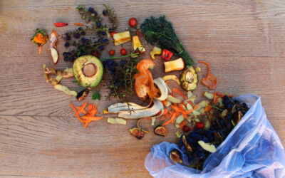 Nine Ways to Reduce Your Food Waste